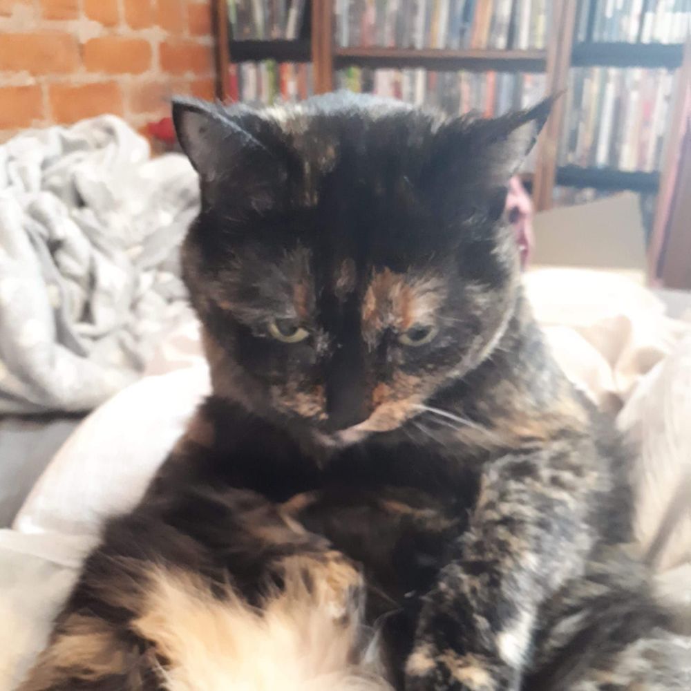 Meet your Posher, Kim